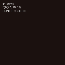 #1B1210 - Hunter Green Color Image